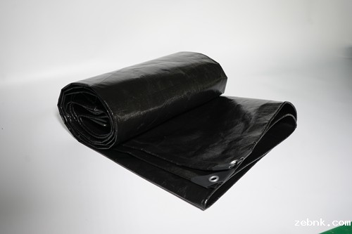 开云官网入口网页版下载厂家