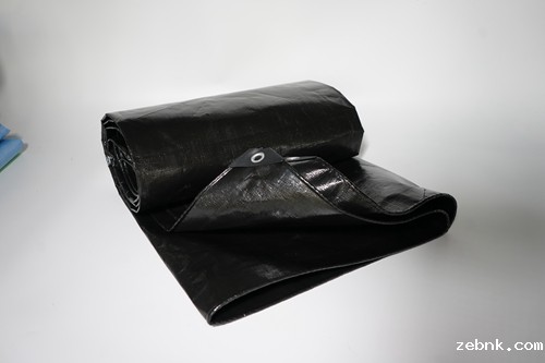 开云官网入口网页版下载加工