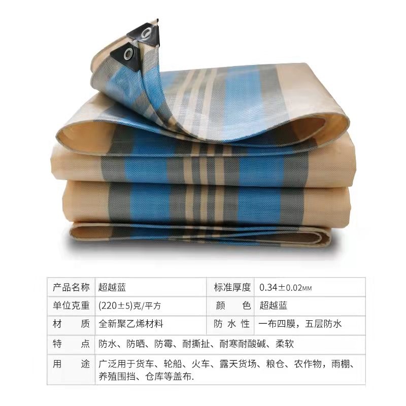 开云官网入口网页版下载